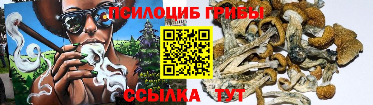 Псилоцибиновые грибы прущие грибы  Вход с VPN  Псилоцибиновые грибы GOLDEN TEACHER  Славянск-на-Кубани 