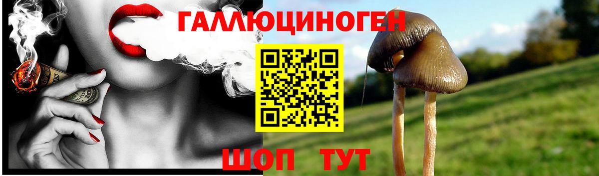 Псилоцибиновые грибы Magic Shrooms Славянск-на-Кубани
